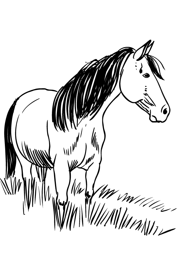 Kolorowanka koń stojący w trawie